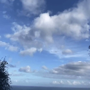 Instagram post preview